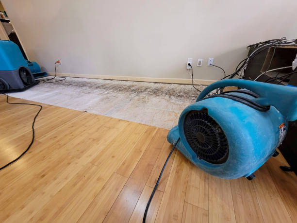 Professional Water Removal technician working in Clarksville, AR
